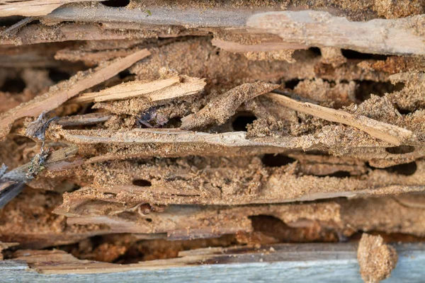 Tavola di legno danneggiata . — Foto Stock