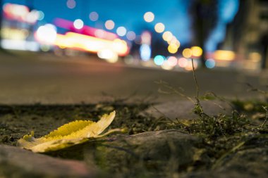 Küçük bir kasabada sarı bir yaprak.