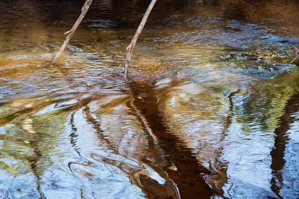 Reflexión sobre la superficie del agua . —  Fotos de Stock