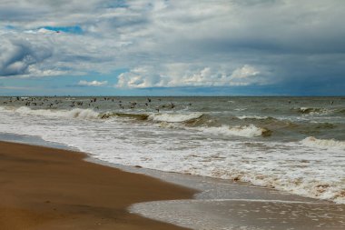 Kuş sürüsüyle birlikte doğal sahile bakın..