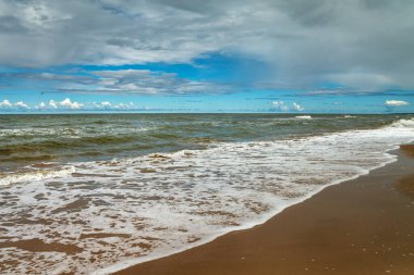 Kuş sürüsüyle birlikte doğal sahile bakın..
