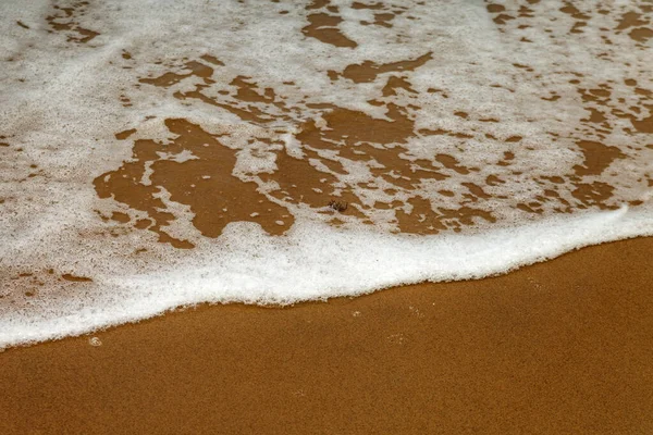 Vista Una Costa Naturale Del Mar Baltico — Foto Stock