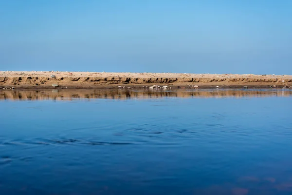 Мала Річка Тече Вздовж Узбережжя Балтійського Моря — стокове фото
