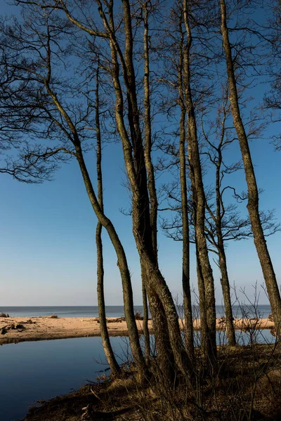 Paesaggio Naturale Piccolo Fiume Che Scorre Verso Mar Baltico — Foto Stock