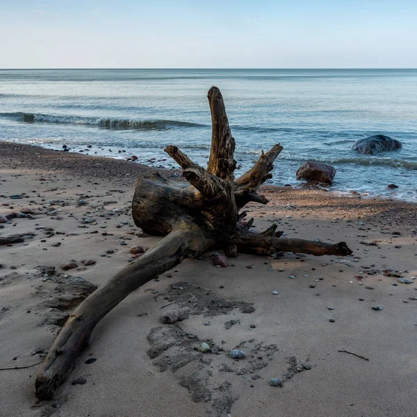 Pahýl Pláži Baltského Moře — Stock fotografie