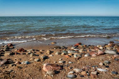 Taş beach Baltık Denizi.