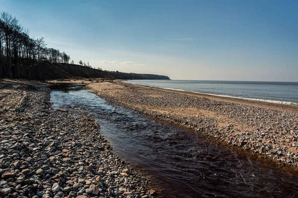 Paisaje Natural Pequeño Río Que Desemboca Mar Báltico —  Fotos de Stock