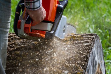 Profesyonel testere ile çalışan adam..