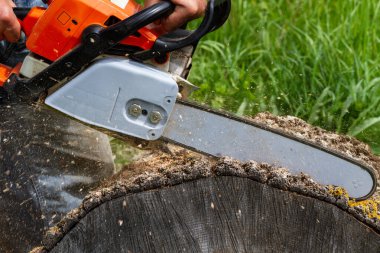 Profesyonel testere ile çalışan adam..