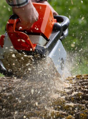 Profesyonel testere ile çalışan adam..