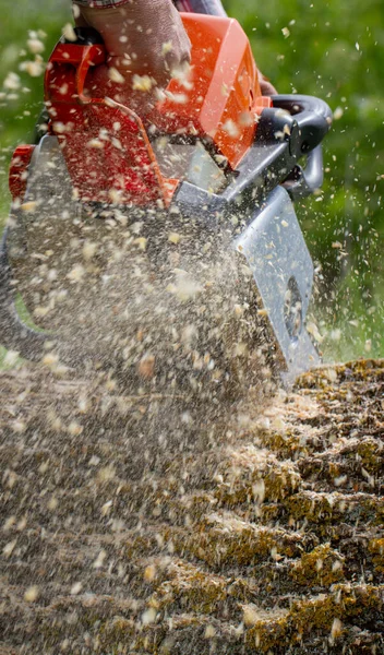 Man Som Arbetar Med Professionell Motorsåg — Stockfoto