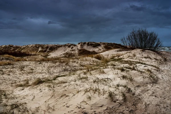 Große Sanddünen Der Ostseeküste — Stockfoto