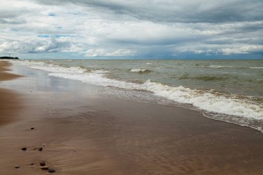 Baltık Denizi 'nin doğal kıyısına bakın.