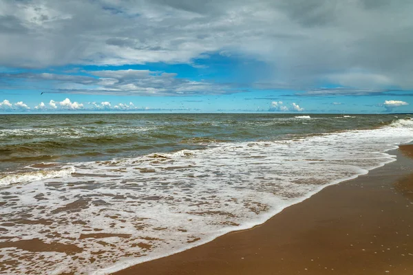 Kuş sürüsüyle birlikte doğal sahile bakın..