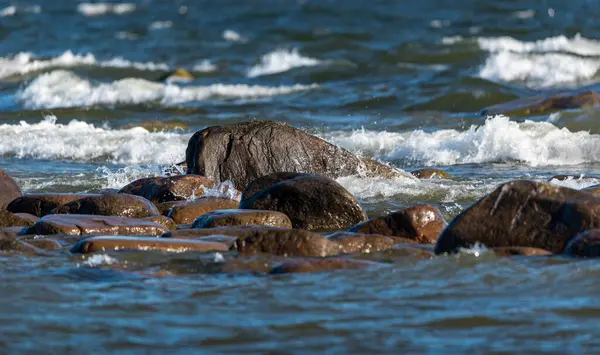 Uitzicht Stenen Kustlijn Van Oostzee — Stockfoto