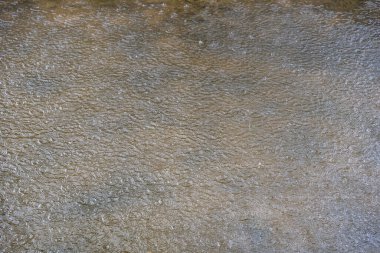 Yağmurlu bir zamanda göletin yüzeyi.