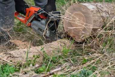 İnsan ormanda testere ile çalışır..