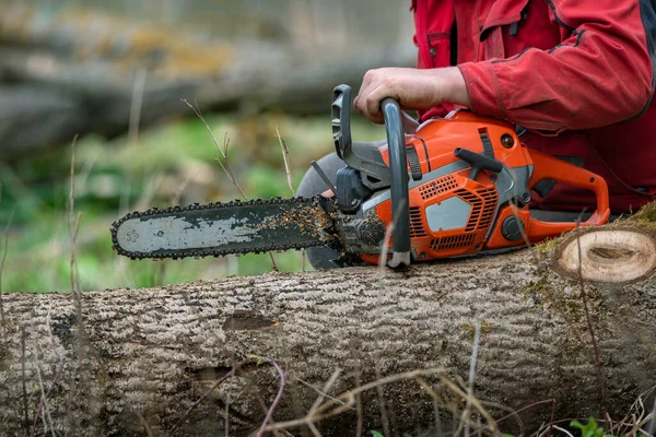 Man works by chainsaw in forest.