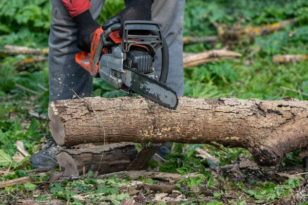 Man Works Chainsaw Forest — Stock Photo, Image