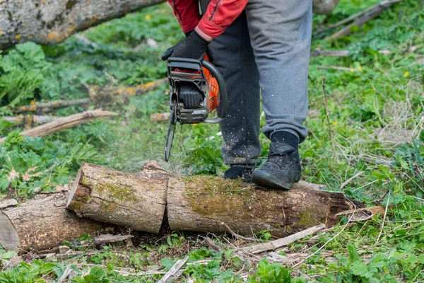 Hombre Trabaja Con Motosierra Bosque — Foto de Stock