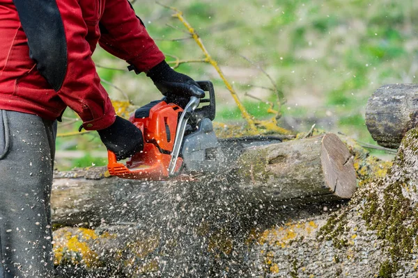 Hombre Trabaja Con Motosierra Bosque — Foto de Stock