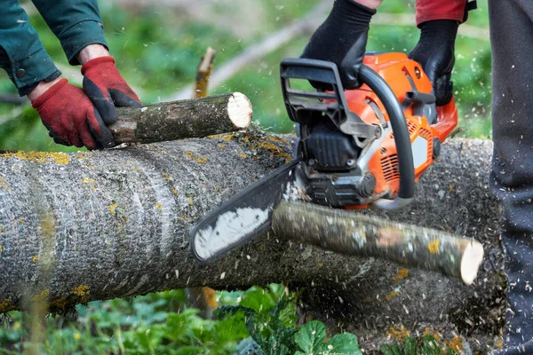 Les Hommes Travaillent Tronçonneuse Dans Forêt — Photo