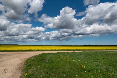 Çakıl taşlı yola bak.