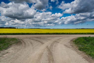 Kırsal kesişen yola bak.