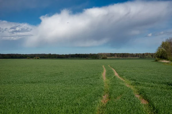 Widok Pole Wsi — Zdjęcie stockowe