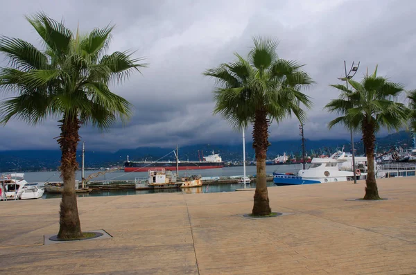 Batum sahilinde palmiye ağaçları, motorlu tekne ve kargo ile denizde gemi limanda, bulutlu hava — Stok fotoğraf