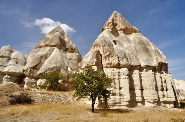 Pilares de roca volcánica en Capadocia, famoso monumento, Valle del Amor, Turquía, popular lugar de senderismo — Foto de Stock