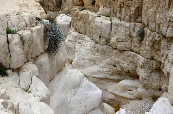 Krásné kaňonu Nachal dargá, Judské pouště, Izrael, Střední východ — Stock fotografie