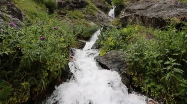 Gorges ve nehirler, gürültülü su ve şelale akışları. Kuzey Kafkas yaz Dağları, Dombay bölgesi, karachay-Çerkesya. Kuş bakışı, quadrocopter, 4k