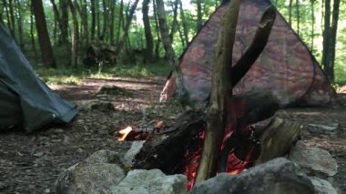 Taşlarla vahşi doğa arka plan büyük şenlik ateşi yanıyor. Yakın çekim seyahat, macera sıcak ve parlak alev ışık. Orman açık havada akşam rahat. Yakma ahşap yakacak odun, günlük, ahşap.