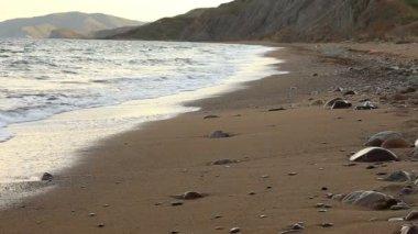 Sörf dalgalar kıyıya yakın. Deniz gelgit güzel görüntüleri. Gün batımında dalgalar kayalık sahil çalıştırın. Dolly yakından görmek kilitli. Deniz kıyısında. Akşam günbatımında çakıl plajı. Rahatlatıcı görüntüleri sonsuz.