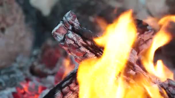 Grand Feu Joie Sur Fond Nature Sauvage Avec Des Pierres — Video