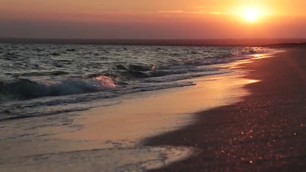 Surf Κύματα Κοντά Στην Ακτή Όμορφα Πλάνα Από Την Παλίρροια — Αρχείο Βίντεο