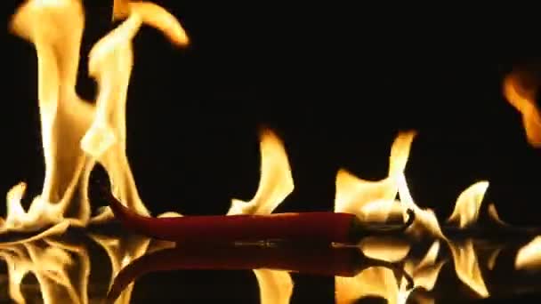 Poivron Rouge Flamboyant Brûler Des Piments Sur Surface Verre Nourriture — Video