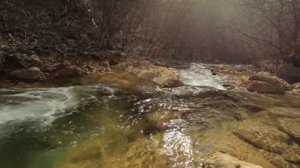 Naturlig Skogs Plats Hösten Skogen Bergen Mountain River Strömma Med — Stockvideo