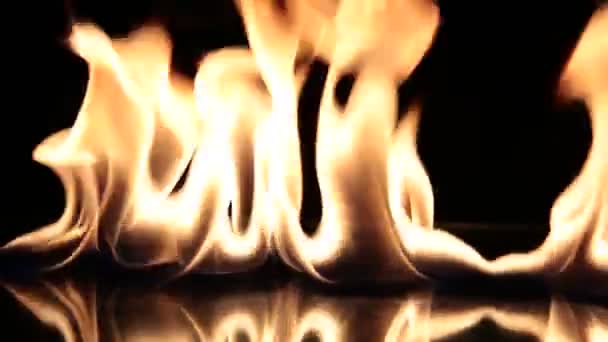 Flames Black Background — Stock Video