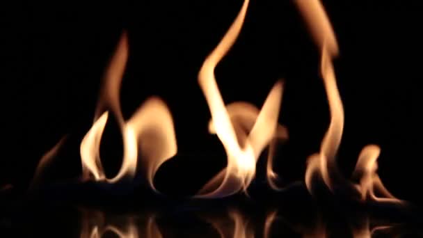 Flammes Sur Fond Noir — Video