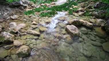 Orman dağ dere. Orman nehir. Dağ nehir. Su. Art arda sıralı şelale. Doğada güzellik. Manzara. Saf taze su şelale orman dağlarda
