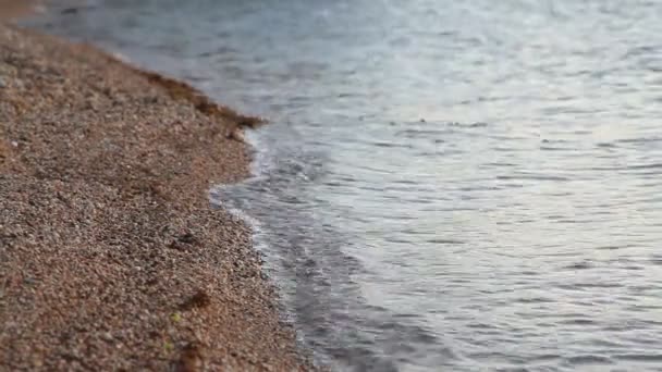 Surf Vågor Nära Stranden Vackra Bilder Havet Tidvatten Vågor Solnedgången — Stockvideo