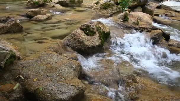 Forest Mountain Stream Forest River Mountain River Water Cascade Waterfall — Stock Video