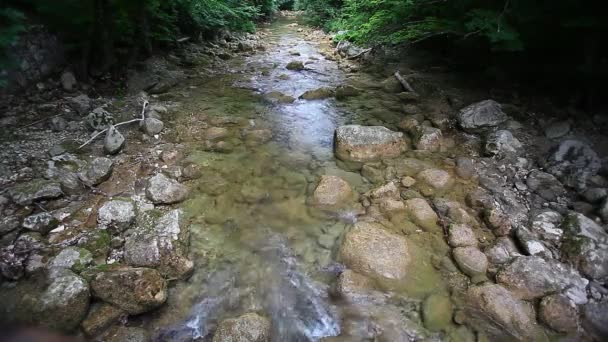 Forest Mountain Stream Forest River Mountain River Água Cascata Cachoeira — Vídeo de Stock