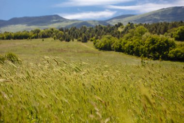 Yaz alan yol ve mavi gökyüzünde bulutlar ile.