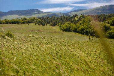 Yaz alan yol ve mavi gökyüzünde bulutlar ile.