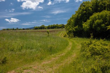 Yaz alan yol ve mavi gökyüzünde bulutlar ile.
