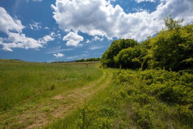 Yaz alan yol ve mavi gökyüzünde bulutlar ile.