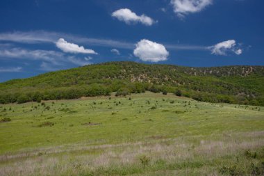 Yaz alan yol ve mavi gökyüzünde bulutlar ile.